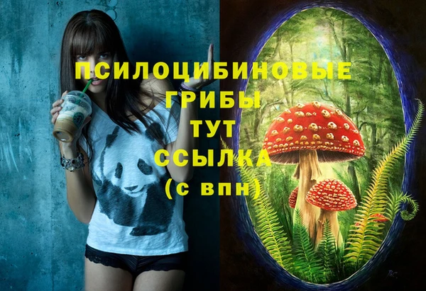 круглые Абаза