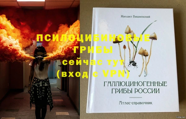 круглые Абаза