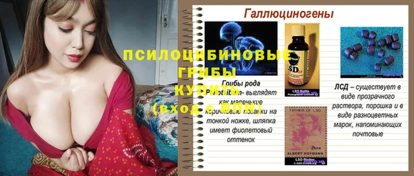 круглые Абаза