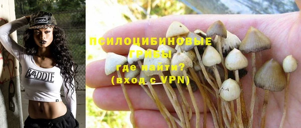 гидропоника Абдулино